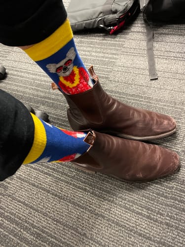 Customer photo review of Men’s Cotton Crew Socks Value 6 Pack – Assorted