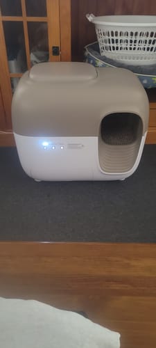 Customer photo review of Self-Cleaning Litter Box