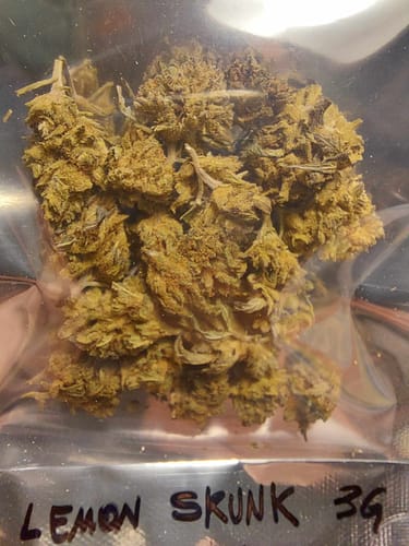 Customer photo review of Lemon skunk ❗️NEW lot❗️cbd 23% - 2€