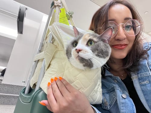 Customer photo review of Free Gift - Cat Carrier