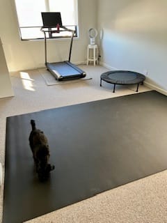 Customer photo review of Miramat® Tera - 305cm x 183cm - Supersized Large Exercise Mat - In Stock