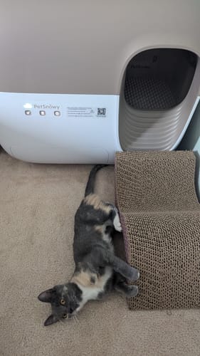 Customer photo review of Self-Cleaning Litter Box