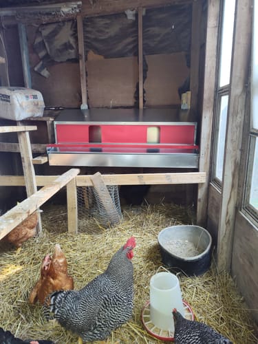 Customer photo review of Large (54") - Reversible Rollout Nest Box (Up to 52 Hens) - Backordered (Expected to ship July - 5th)