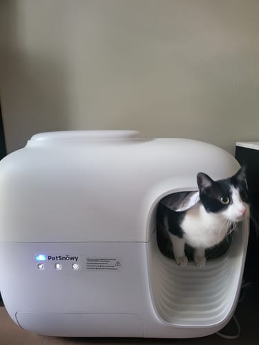 Customer photo review of Self-Cleaning Litter Box
