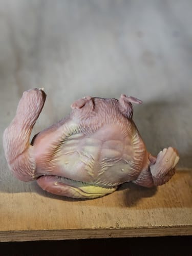 Customer photo review of Super Gorila Anti-estrés