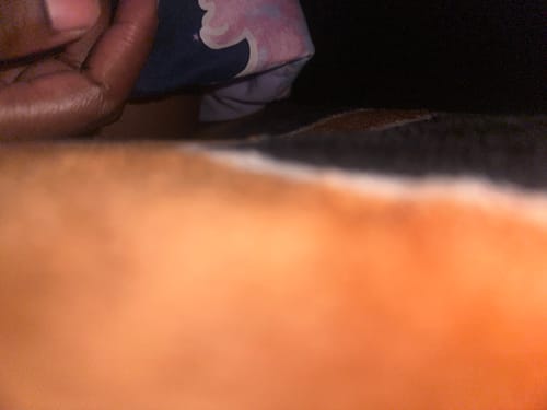 Customer photo review of "Big Booty Judy" Butt & Hip Enhancement Cream