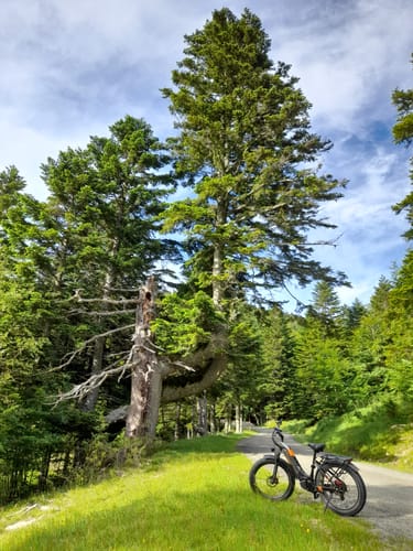 Customer photo review of Lankeleisi MG600 Plus 1000W Bafang Motor 26" Fat Bike All Terrain SUV E-Bike 48V 20Ah Samsung Battery