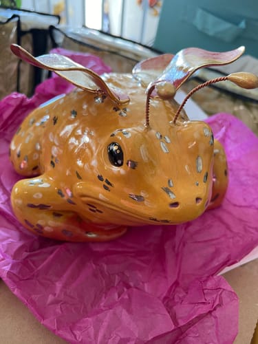 Customer photo review of Rosy Maple Fairy Frog