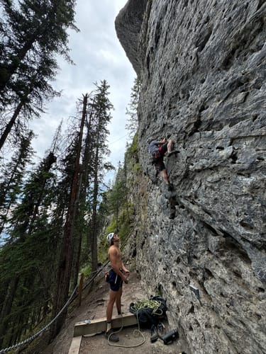 Customer photo review of TC Pro (Past Season)