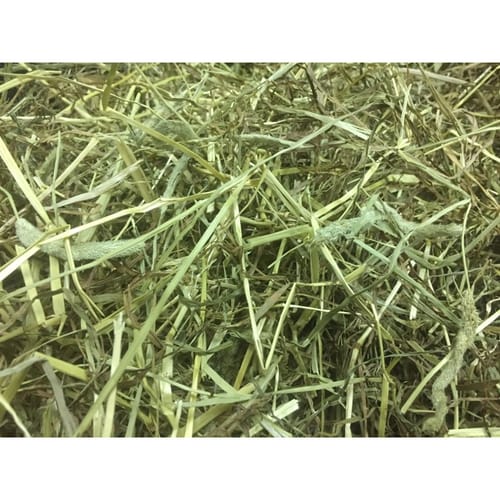 Customer photo review of Timothy Hay Box 'Coarse Cut'