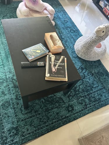Customer photo review of Skye Teal Rug