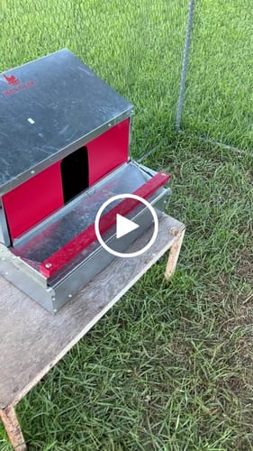 Customer video review of Small (24") Reversible Rollout Nest Box (Up to 20 Hens) - Ready to Ship!