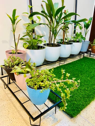 Customer photo review of United Crafts Indoor/Outdoor Flower Pot/Plant Stand (Set of 4)