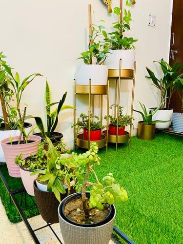Customer photo review of UC-1 Premium Big Metal Multi-Tier Planter Stand for Home Décor (Gold Set of 2) Pot Holder