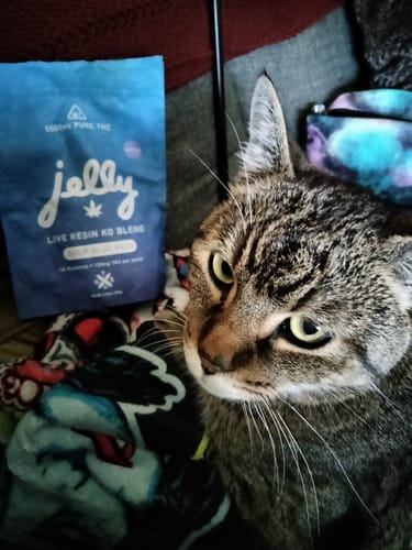 Customer photo review of Jelly KO Live Resin Gummies *Warning: High Potency!*