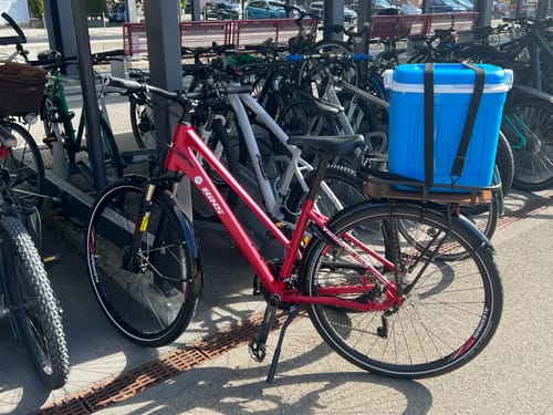 Customer photo review of PACKI der Velokorb