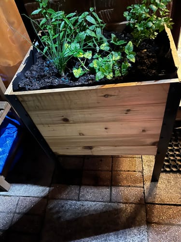 Customer photo review of Raised Garden Bed - 46cm x 61cm x 76cm