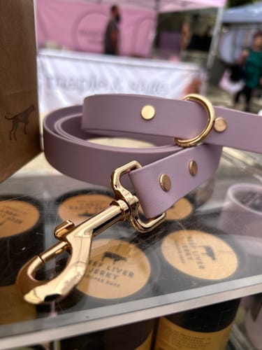 Customer photo review of Lavender Leash