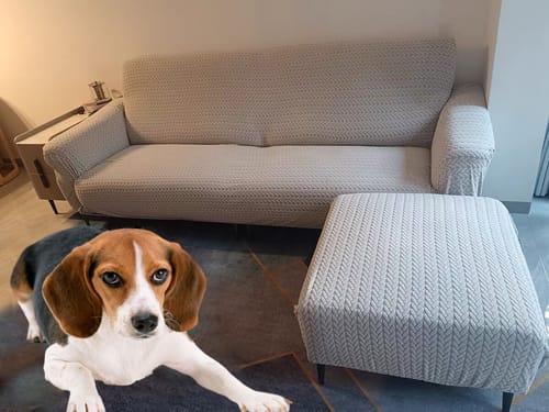Customer photo review of Latest Jacquard Design High Stretch Sofa Covers , Pet Dog Cat Proof Slipcover Non Slip Magic Elastic Furniture Protector