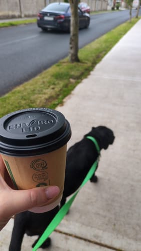 Customer photo review of City leash (Hands-free)