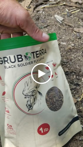 Customer video review of GrubTerra Dried Larvae Sample
