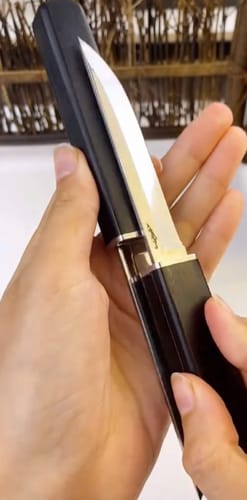 Customer photo review of Dual Samurai Chef Knife
