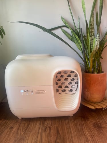 Customer photo review of Self-Cleaning Litter Box