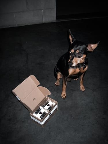 Customer photo review of Fresh Friends - Before & After Coat and Paw Wipes - 30-pack