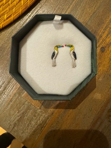 Customer photo review of Aretes Tucán