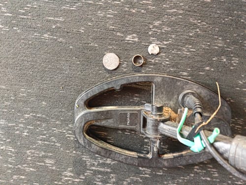 Customer photo review of Nokta Legend Spule LG24