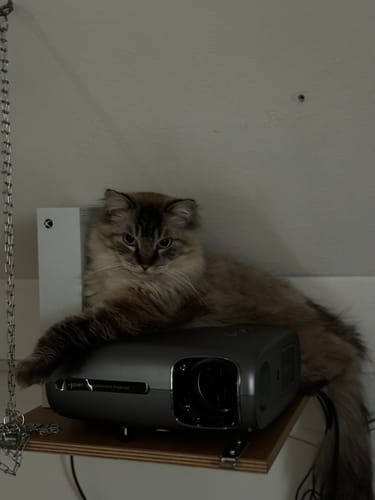 Customer photo review of Full-HD Beamer mit Native 1080P 4K Unterstützung / 19000 Lumen / Verbessertes Kühlsystem / Vielseitige Anschlussmöglichkeiten