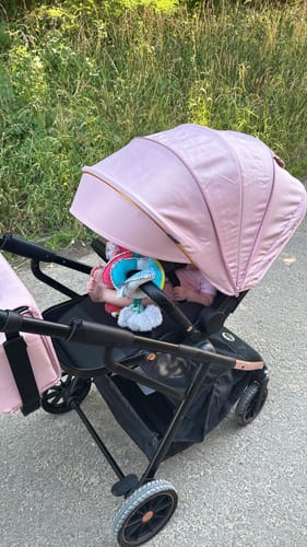 Customer photo review of Lejoux+ Baby Pram 0 Months +