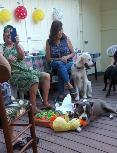 Customer photo review of Calming Duck