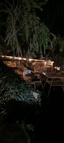 Customer photo review of Litehouse Festoon Outdoor Bulb String Lights + FREE Solar Fairy Lights