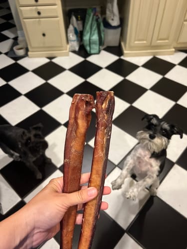 Customer photo review of 12 Inch Monster Bully Stick