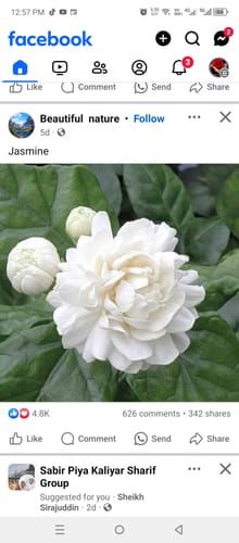 Customer photo review of Face Serum - Vitamin C (30ml)