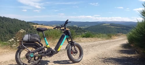 Customer photo review of Lankeleisi RX800 Plus 1000W 20" Fat Bike Full Suspension Electric Bike 48V 20Ah Samsung Battery SUV E-Bike