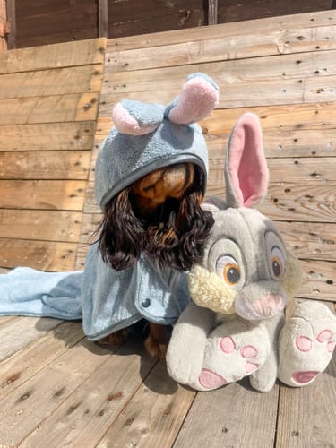 Customer photo review of Disney© Hooded Microfibre Towel - Bambi + Friends Blue