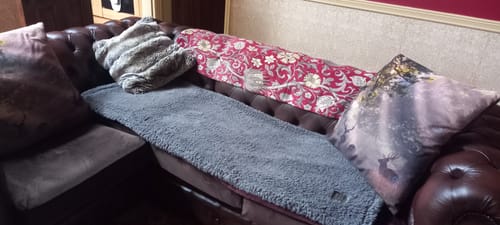 Customer photo review of 100% Recycled Fluffy Dog Blanket - Slate