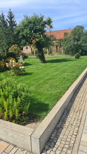 Customer photo review of Animatio Profi-Rasendünger