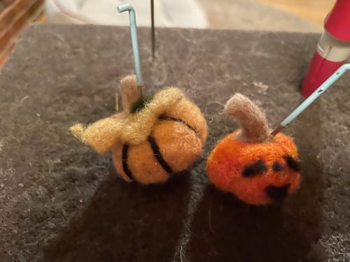 Customer photo review of Pumpkin Stem