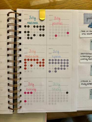 Customer photo review of NEW Sticker Set, Small Dots