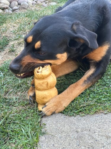 Customer photo review of 5-6 Inch Peanut Butter Cheek Roll