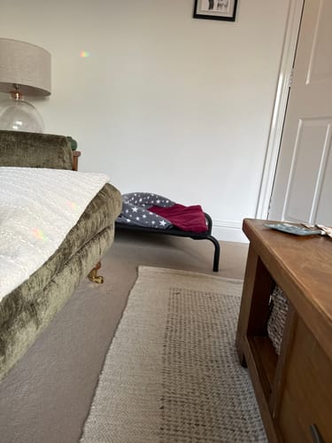Customer photo review of HiK9 Bed with Black Canvas Cover