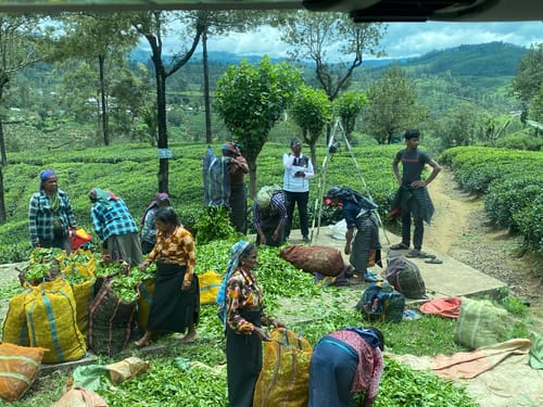 Customer photo review of SRI LANKA 5GB 15 Days