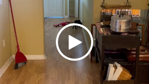 undefined review of TURBO TAIL 2.0 image 1 out of 1