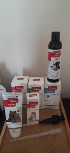 Customer photo review of Plus+B For Cats 50ml & Multi Paste 100g