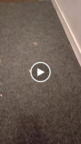Customer video review of Paris kuramatto, mittojesi mukaan leikattu