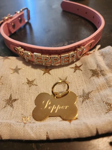 Customer photo review of Engraved ID Tag