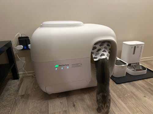 Customer photo review of Self-Cleaning Litter Box